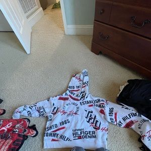 Cropped Tommy Hilfiger hoodie